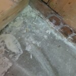 Rapid Mold Removal LLC Review